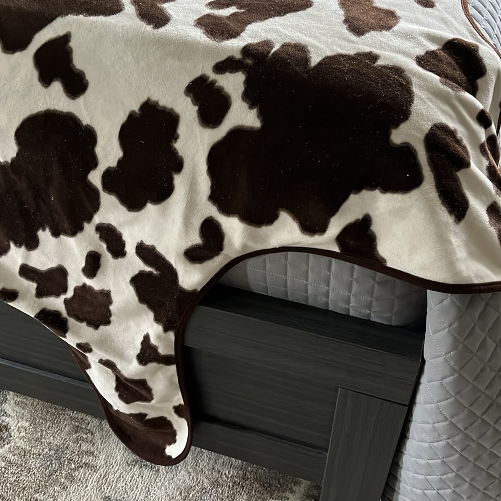 Charter Club Brown and White Patterned Throw